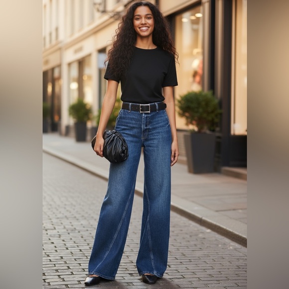 NWT Anine Bing Briley Wide Leg in Arctic Blue Size 26 - Picture 1 of 16